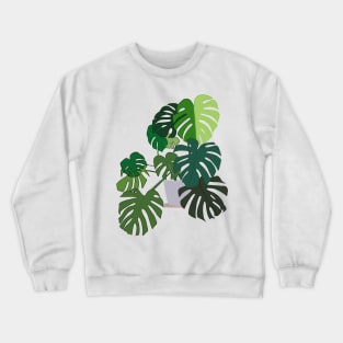 Beautiful Monstera Plant Crewneck Sweatshirt